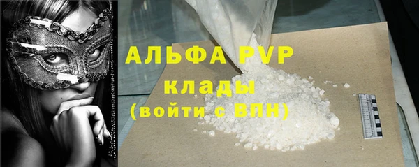 ECSTASY Бородино