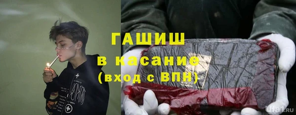 сатива Беломорск