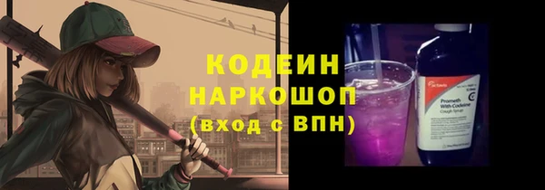 ECSTASY Бородино