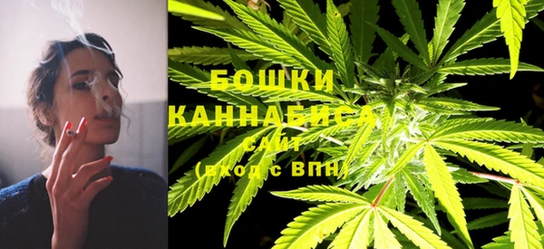 ECSTASY Бородино