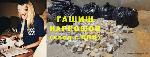 ECSTASY Бородино