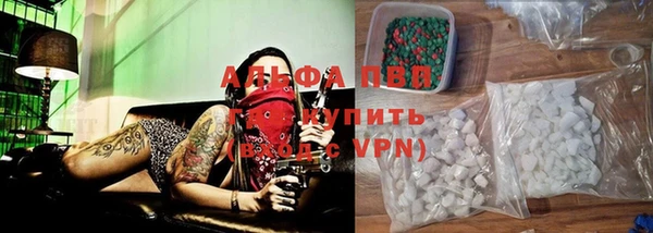 ECSTASY Бородино