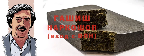 ECSTASY Бородино