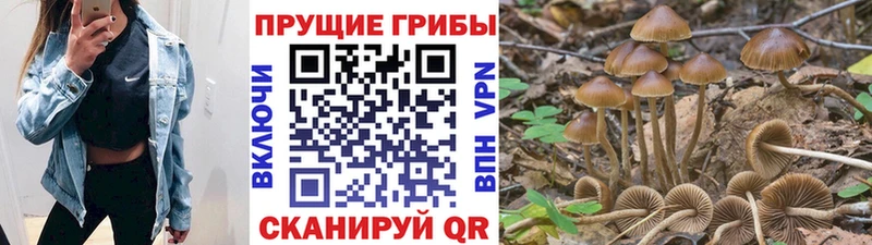 Псилоцибиновые грибы Cubensis  Воронеж 